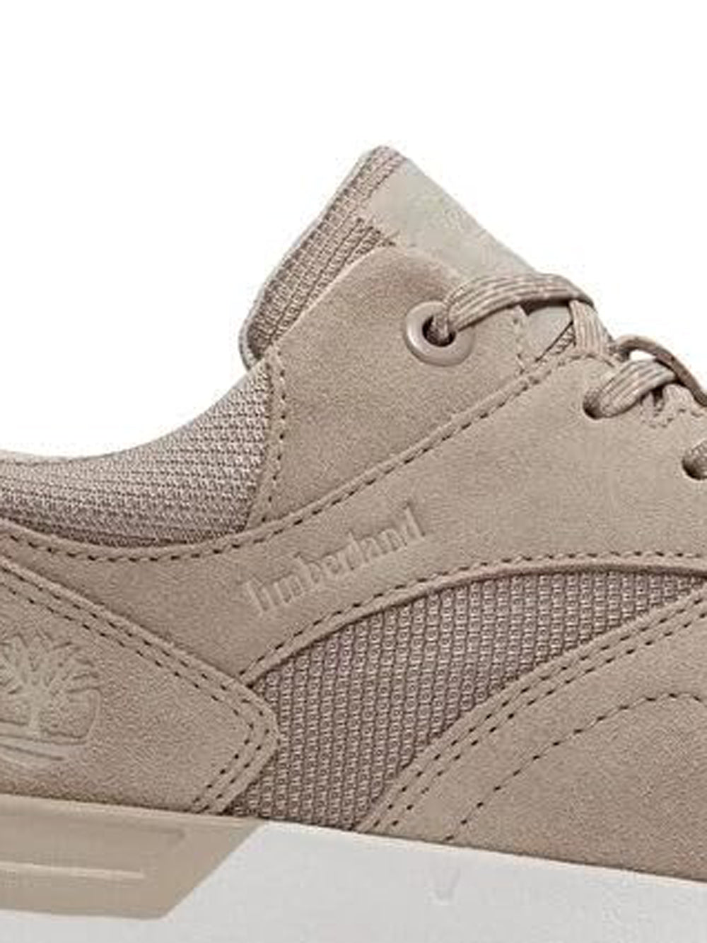 TIMBERLAND Sneakers Uomo - Beige modello TB0A6DTEEO41