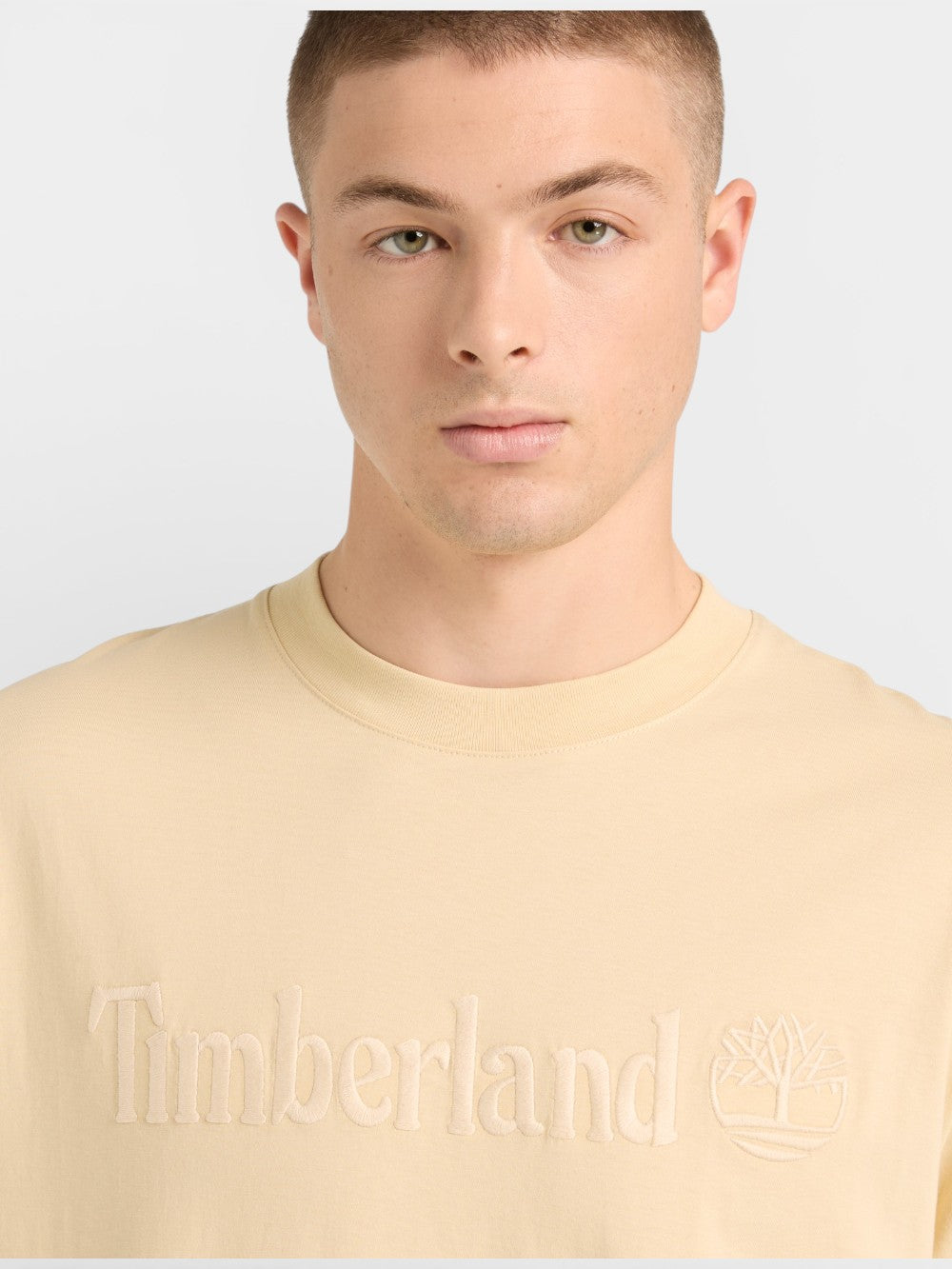 TIMBERLAND T-shirt Uomo - Beige modello TB0A6VPE2601