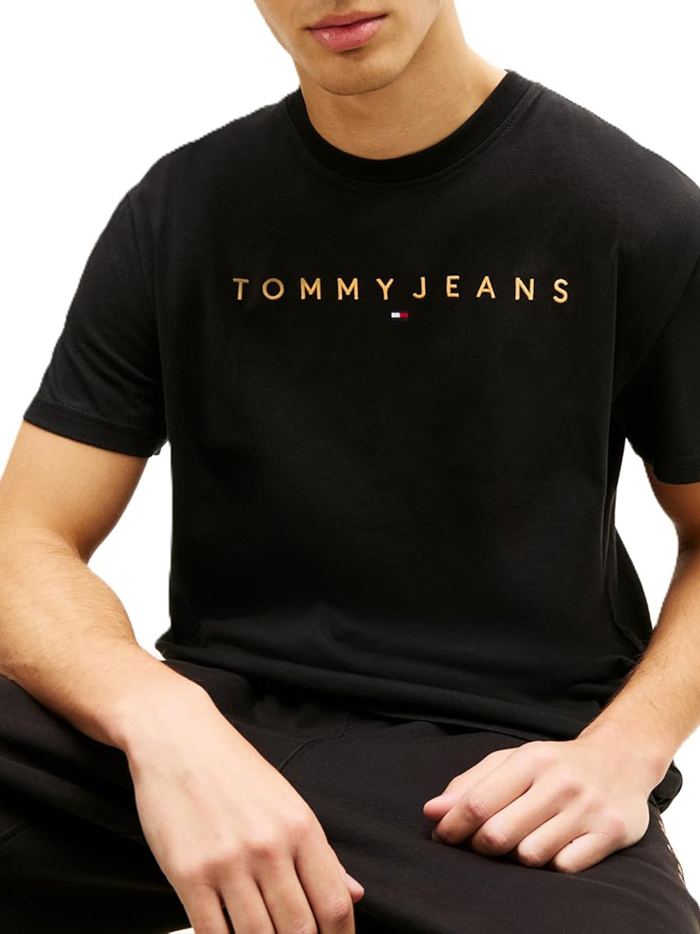 TOMMY HILFIGER T-shirt Uomo - Nero modello DM0DM20744SEV